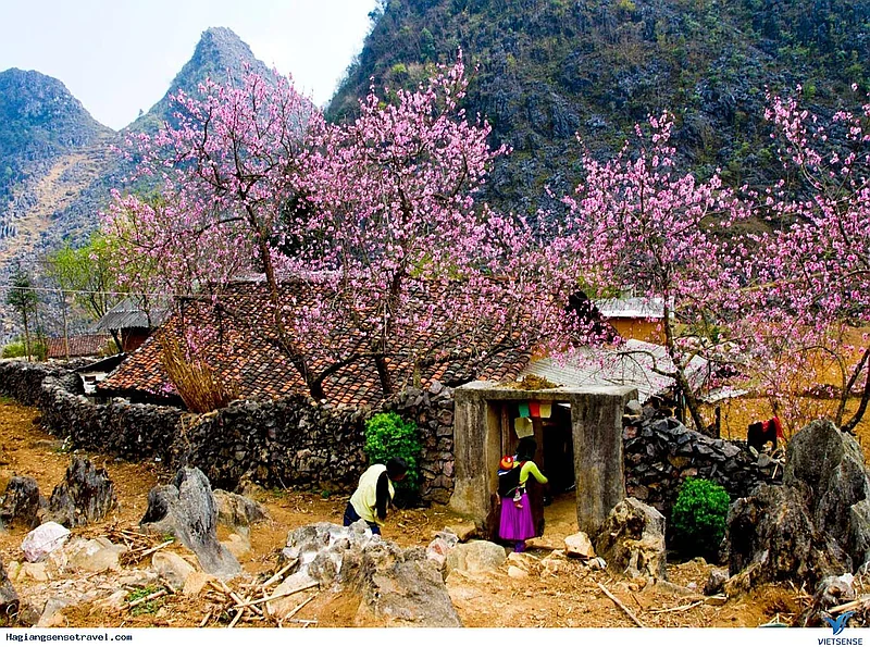 Hà Giang 2 Ngày 1 Đêm – Quản Bạ – Yên Minh – Đồng Văn